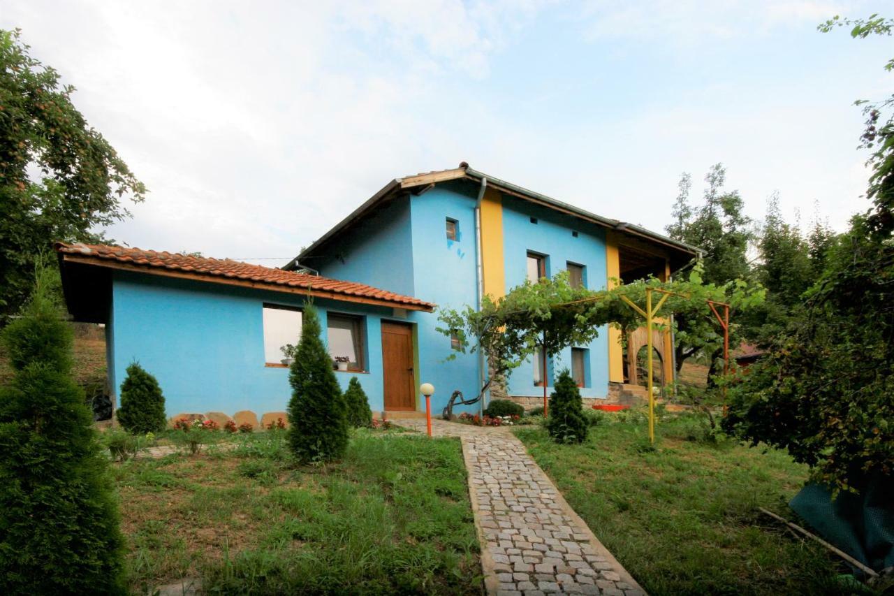 Chuchi Guest House 1 Zlatna Panega Εξωτερικό φωτογραφία