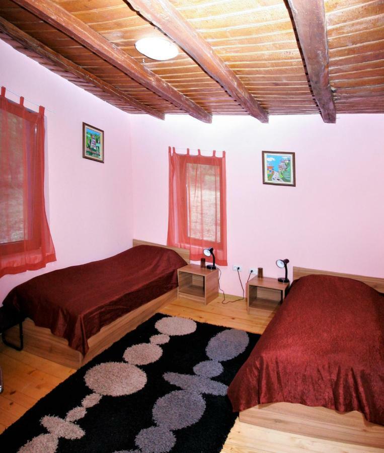 Chuchi Guest House 1 Zlatna Panega Εξωτερικό φωτογραφία