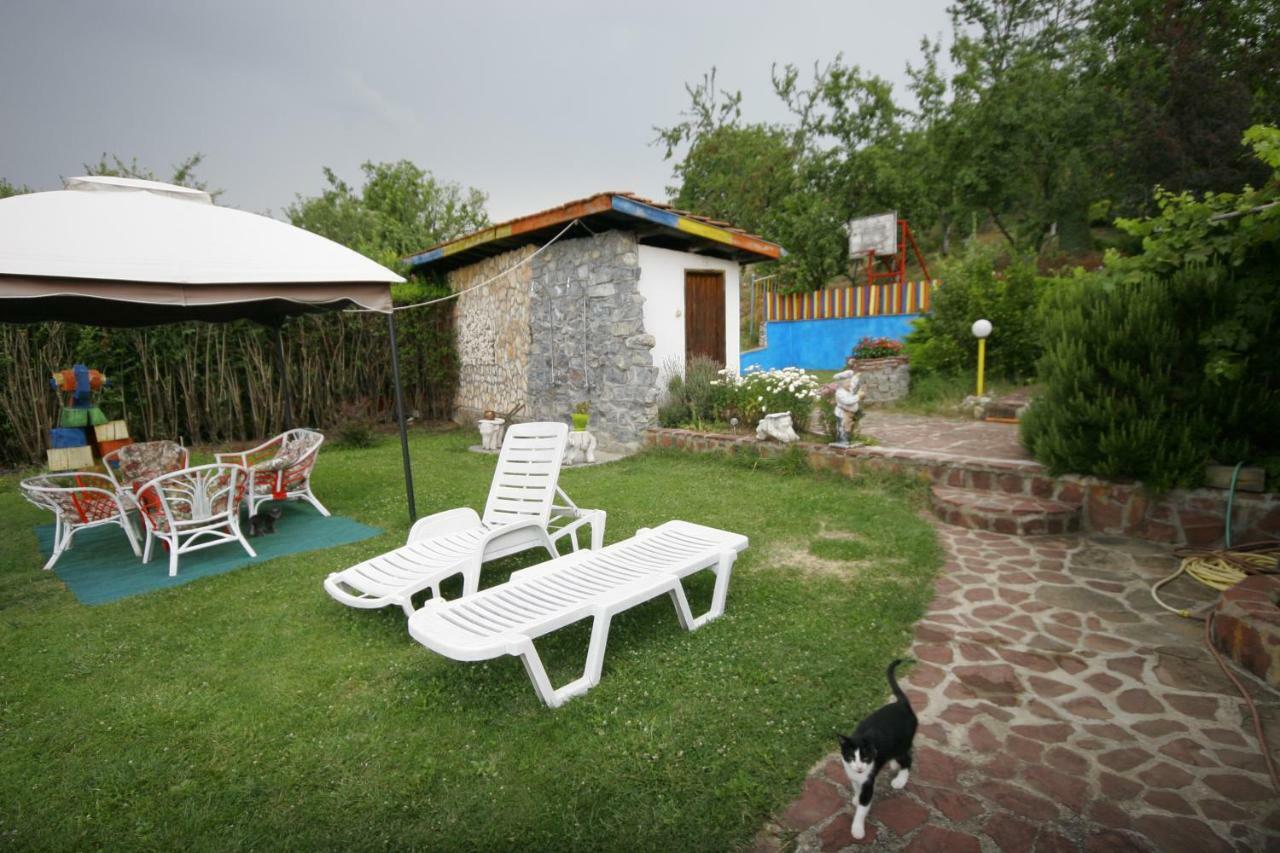 Chuchi Guest House 1 Zlatna Panega Εξωτερικό φωτογραφία