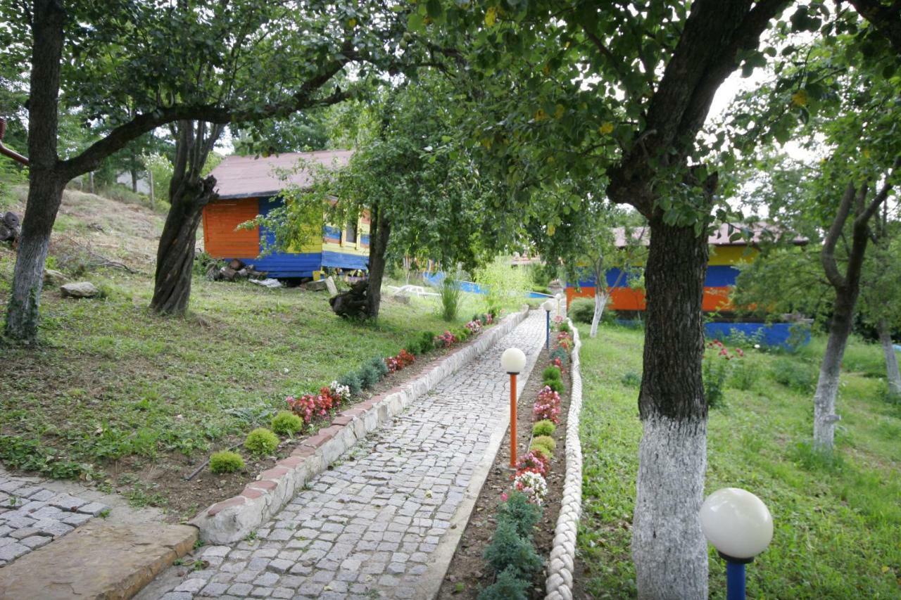 Chuchi Guest House 1 Zlatna Panega Εξωτερικό φωτογραφία